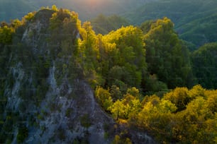 El sol brilla a través de los árboles en una montaña