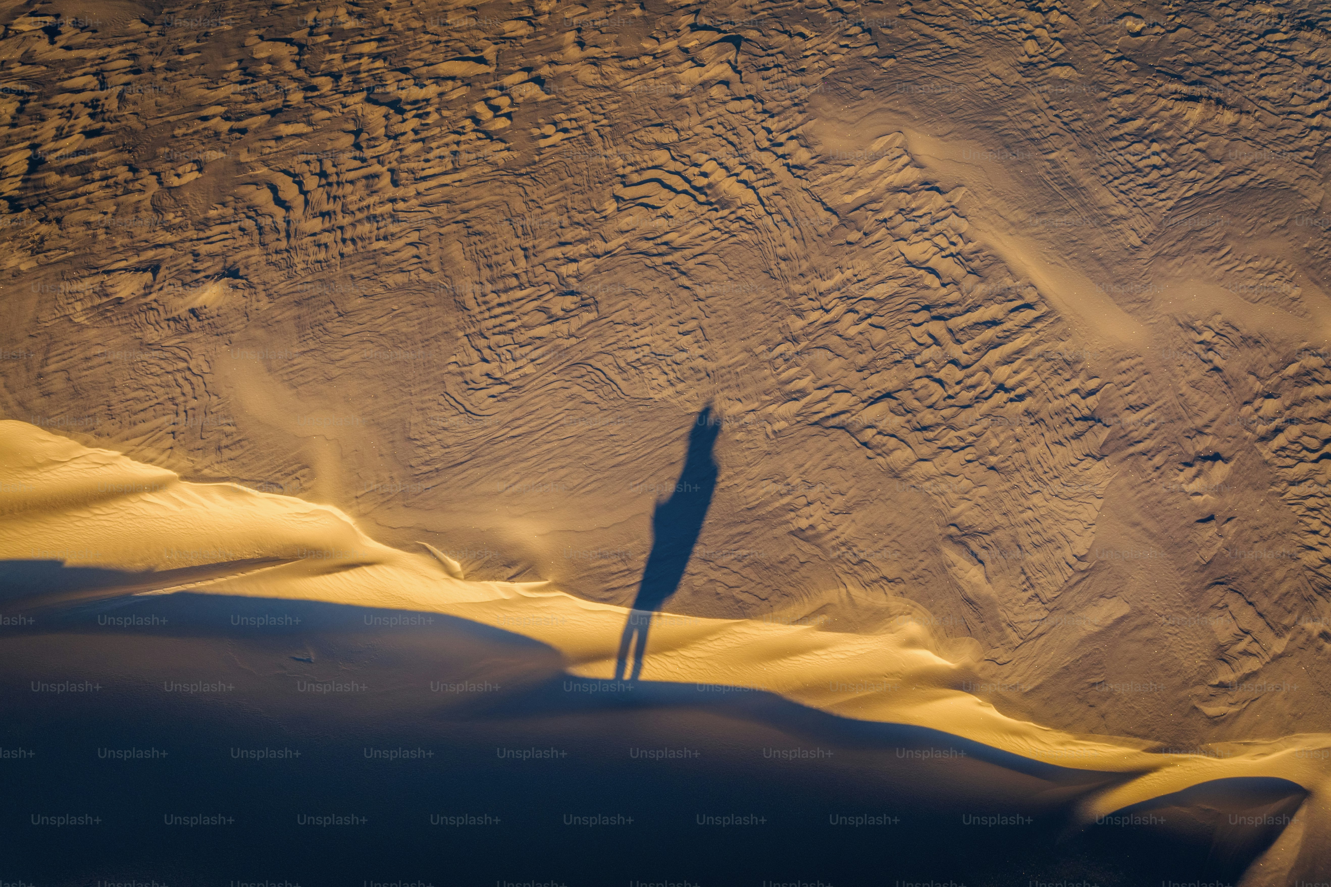 Ombres longues sur les crêtes des dunes.