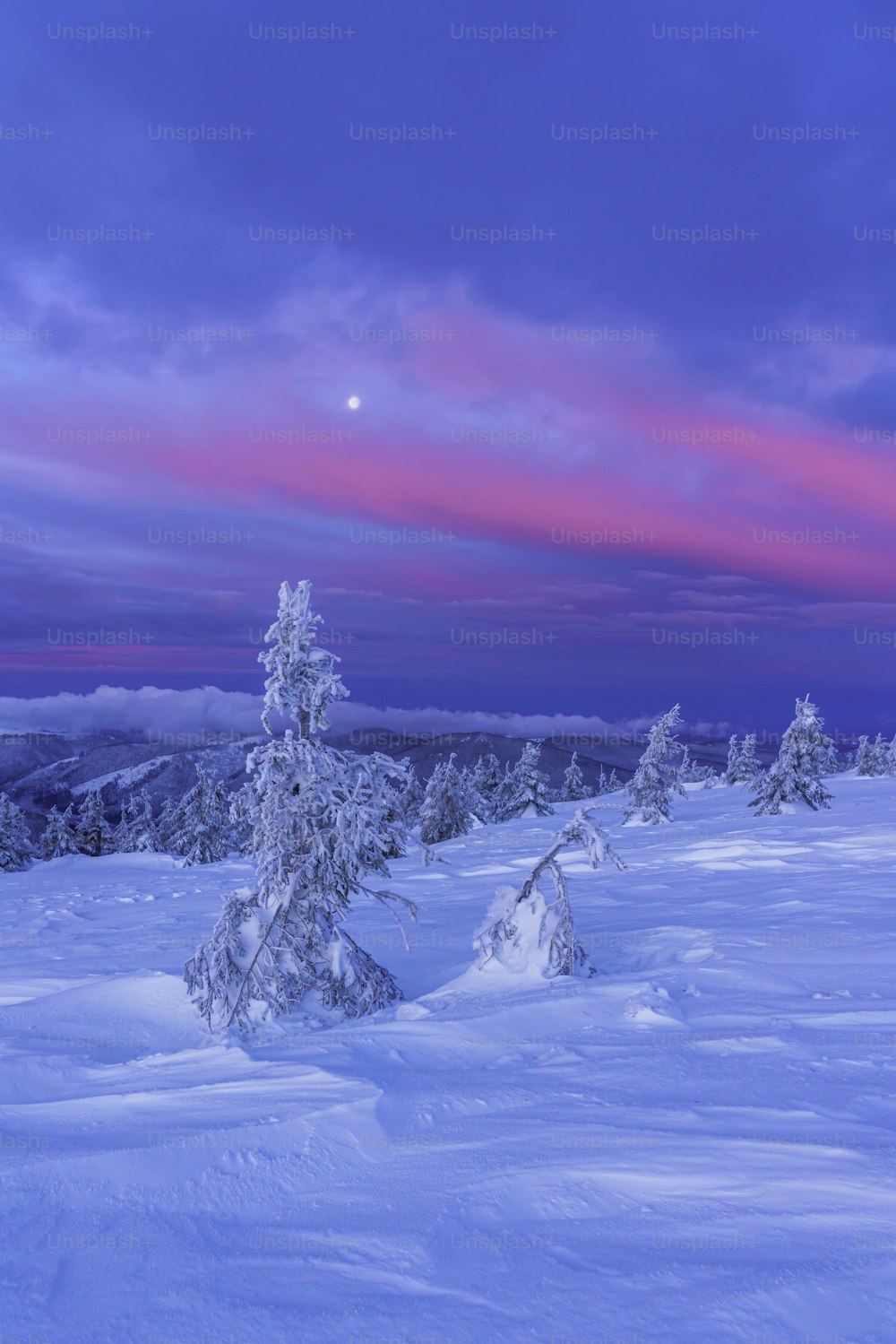 Eine verschneite Landschaft mit Bäumen und rosa Himmel
