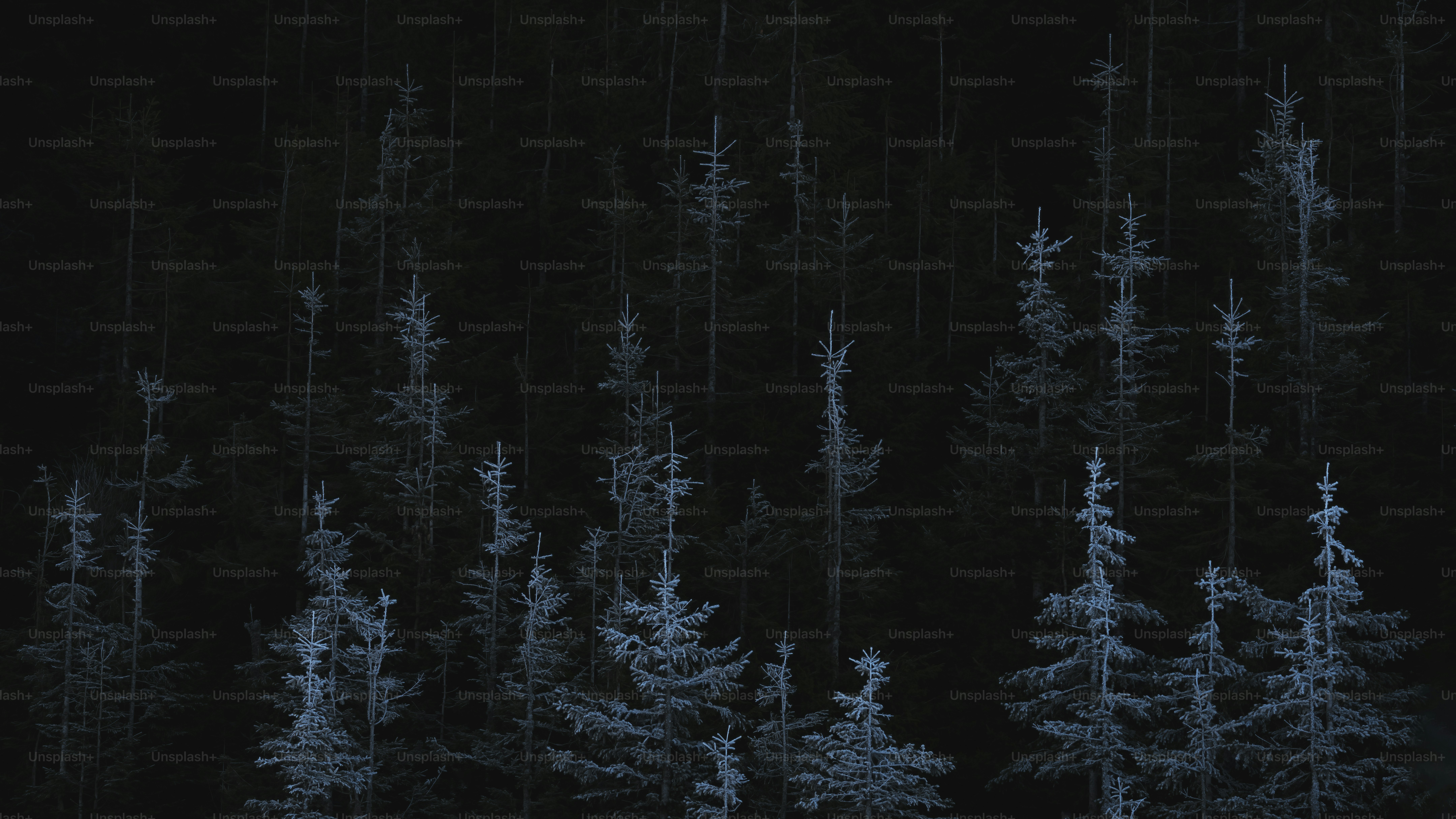 Imágenes de Fondo De Pantalla Del Ipad Oscuro | Descarga imágenes gratuitas  en Unsplash, image size:3000x1688