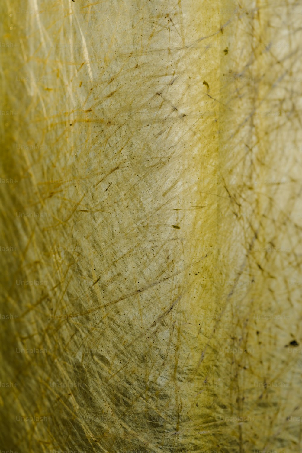 a close up view of a piece of cloth