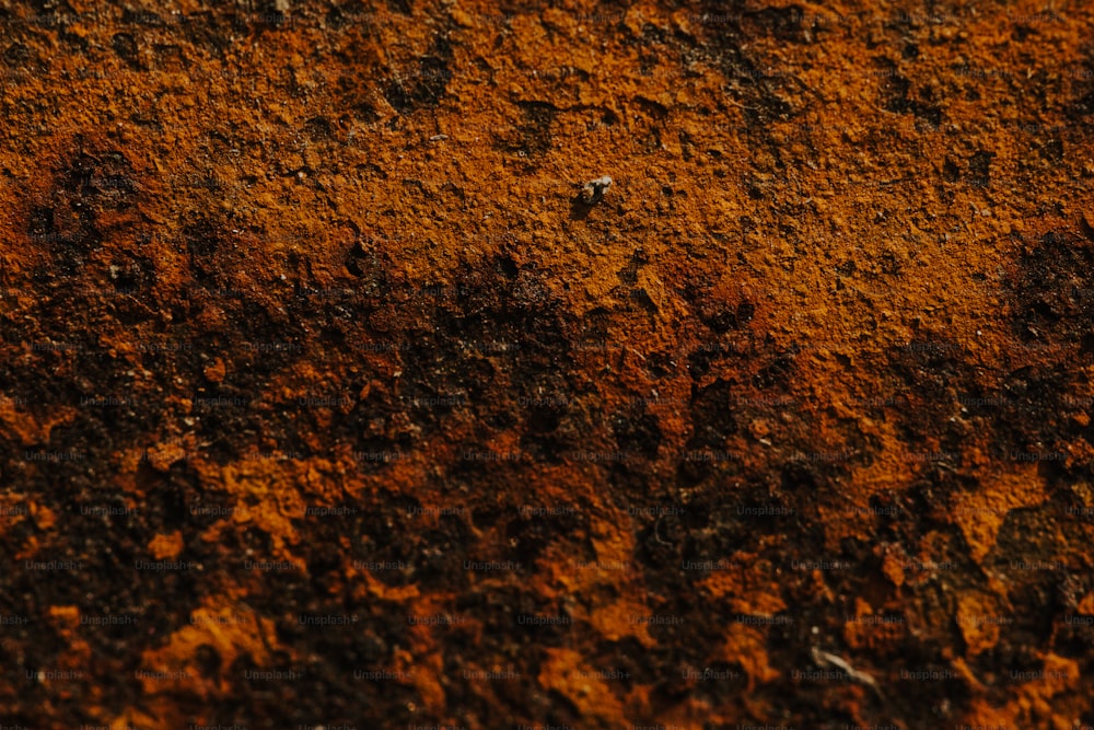 um close up de uma superfície de metal enferrujado