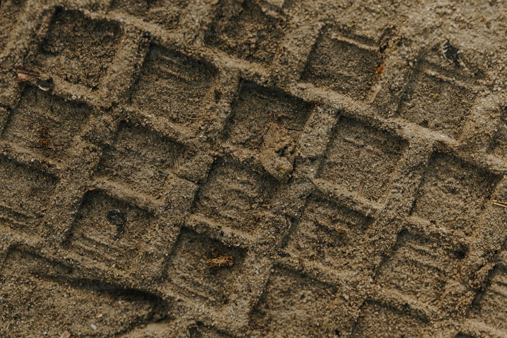 작은 사각형이있는 흙 조각의 클로즈업