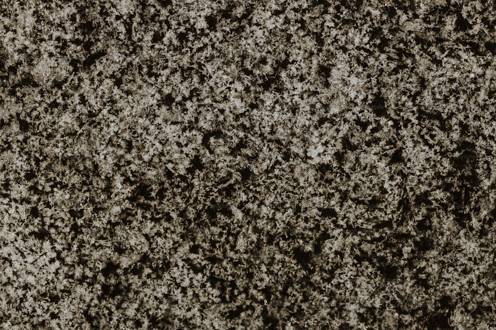 a black and white photo of a granite wall