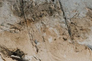 un primo piano di una parete rocciosa con sporcizia su di esso