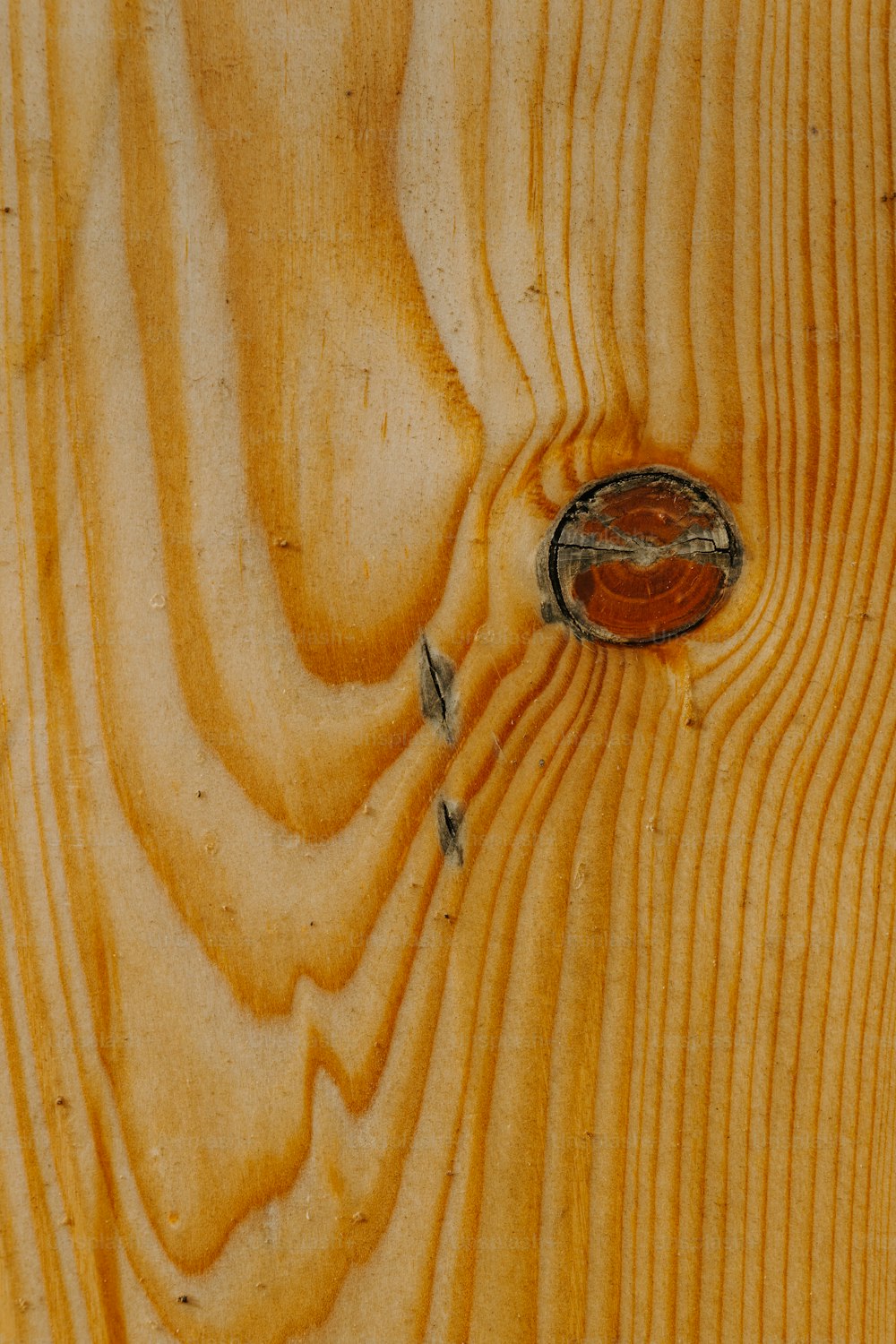 un trozo de madera que se ha teñido de amarillo