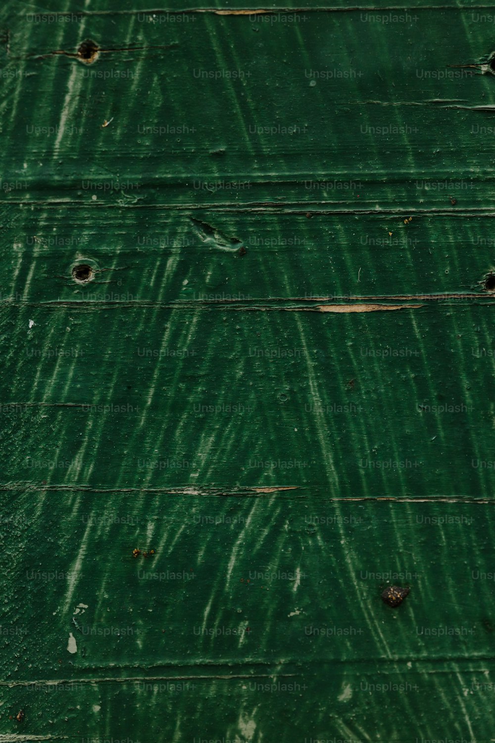Un pájaro está posado sobre un pedazo de madera verde