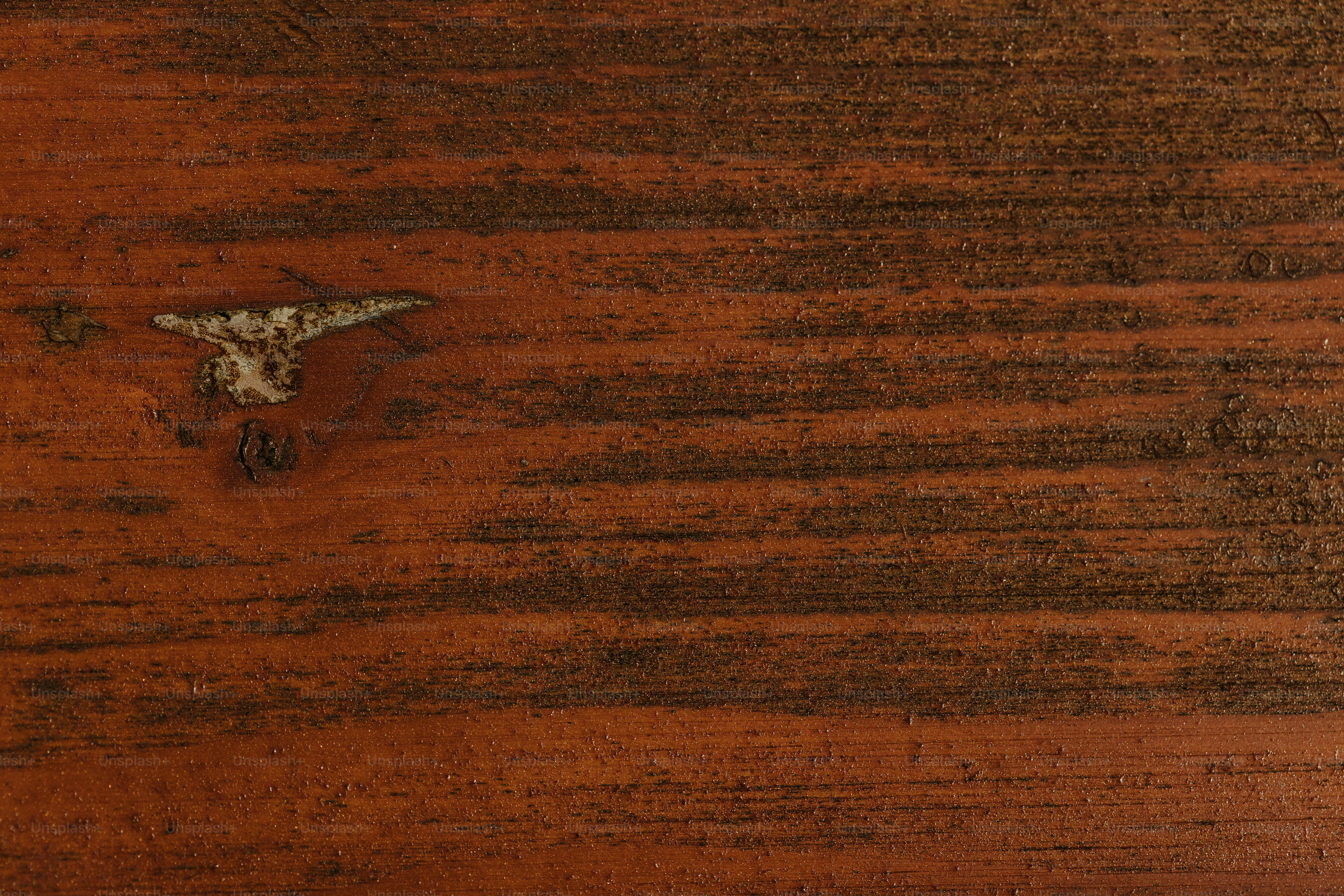 um pedaço de madeira com um crânio de vaca sobre ele