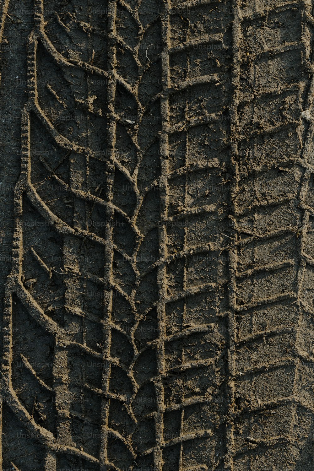 a close up of a tire on a dirt road