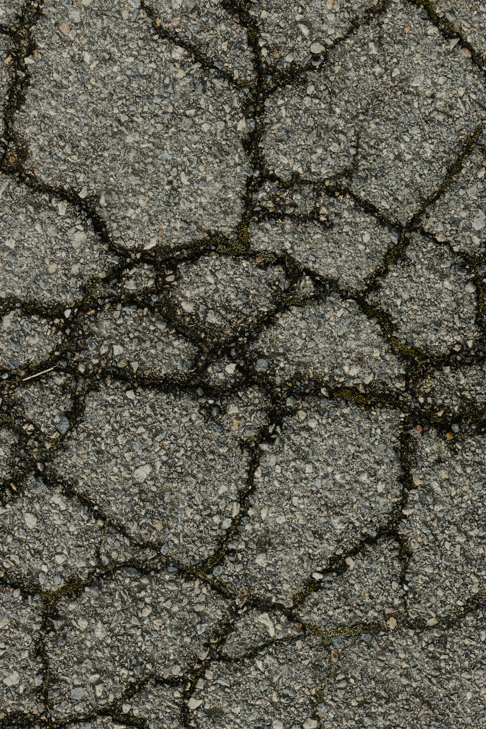 a black and white photo of a cracked road