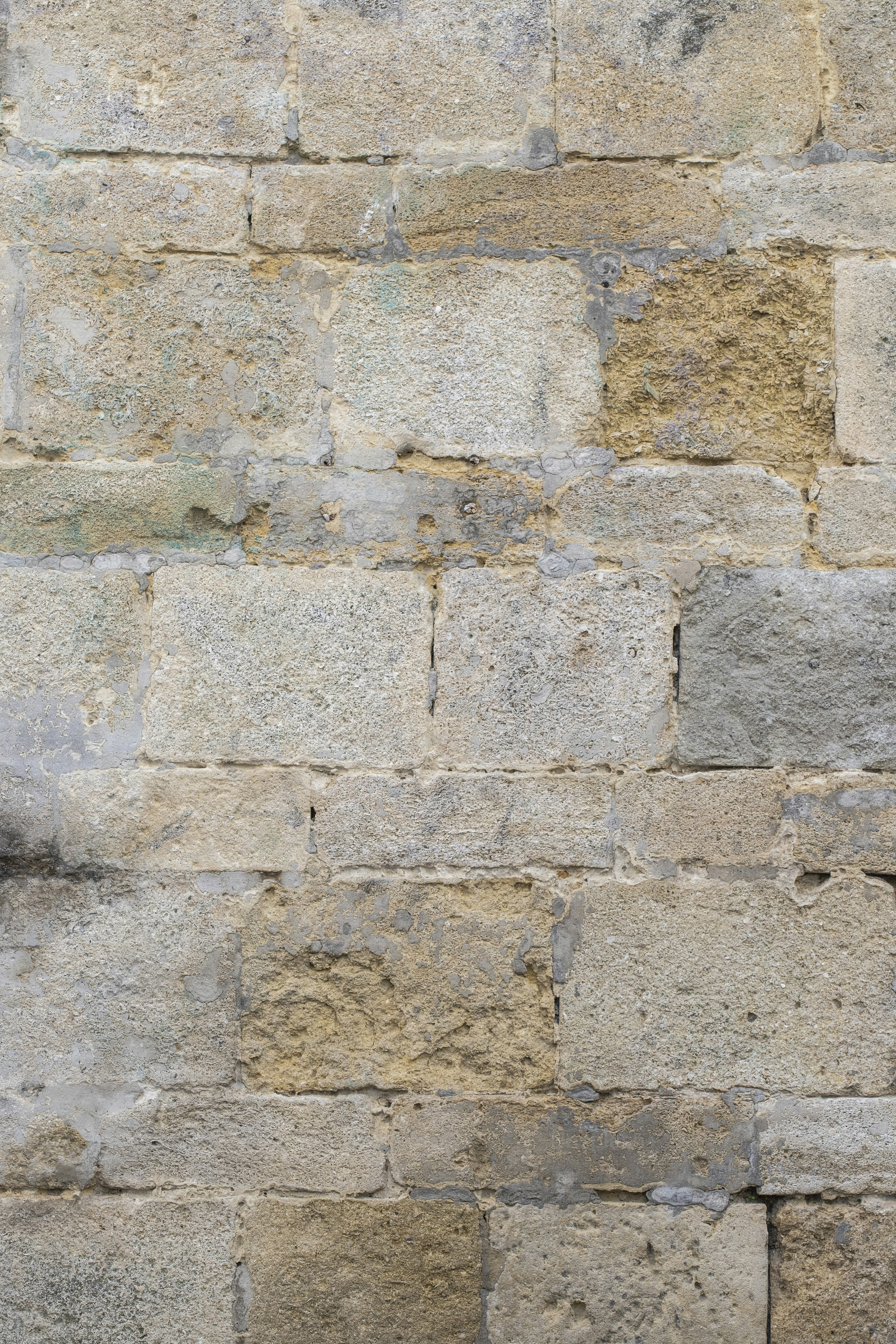A black and white cat sitting on top of a brick wall photo – Wall Image ...