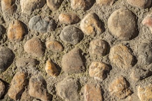 un primo piano di rocce e terra sul terreno