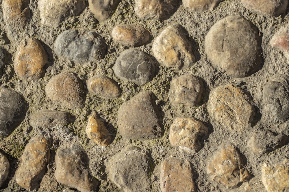 un gros plan de roches et de terre sur le sol