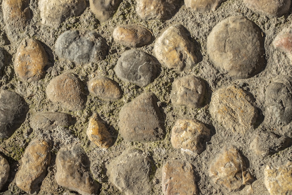 a close up of rocks and dirt on the ground