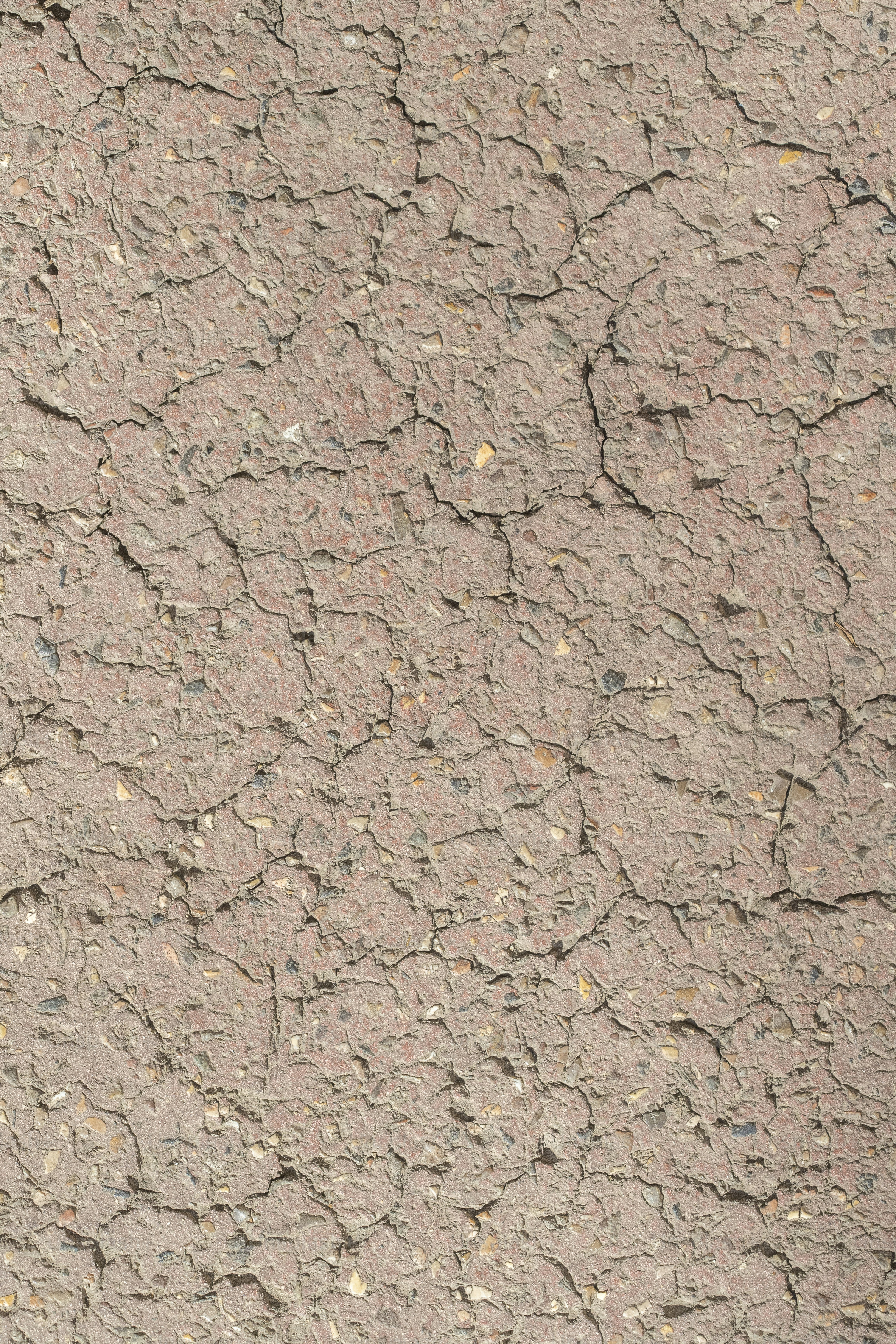 a bird is standing on the cracked ground