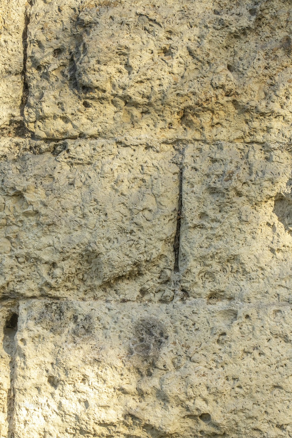 Un uccello è appollaiato su un muro di pietra