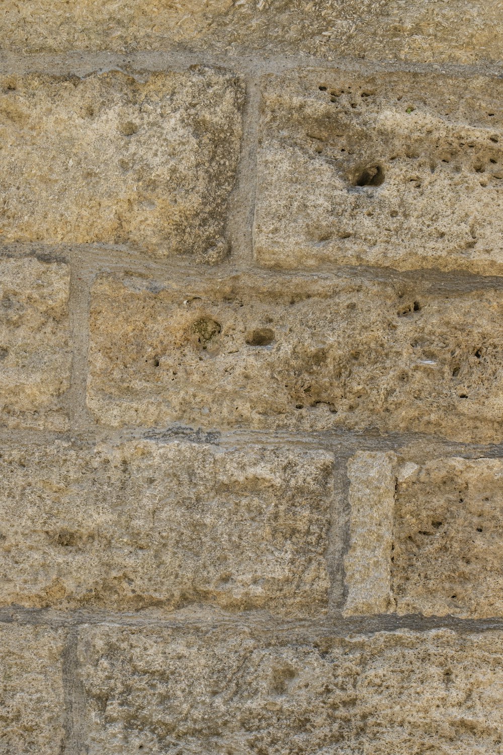um pássaro está empoleirado em uma parede de tijolos