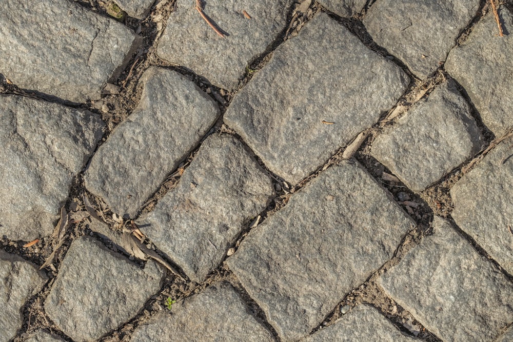 a close up of a cobblestone sidewalk