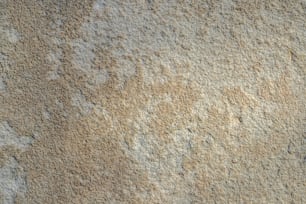a close up of a wall with a brown and white substance on it