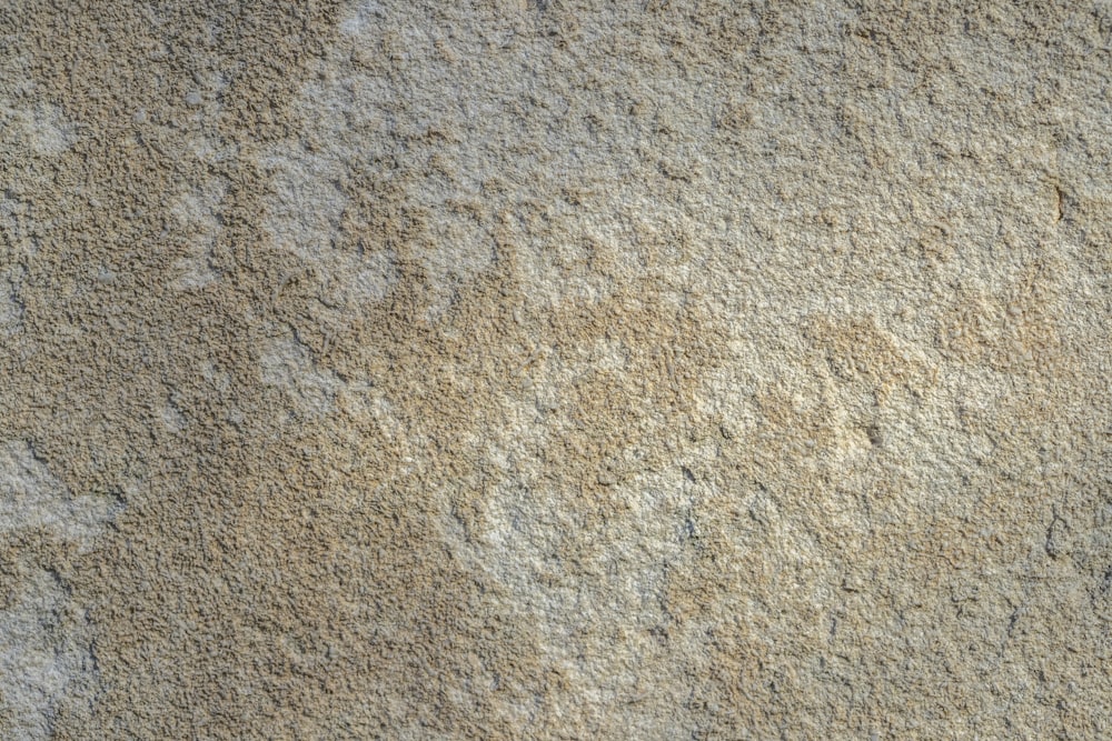 a close up of a wall with a brown and white substance on it