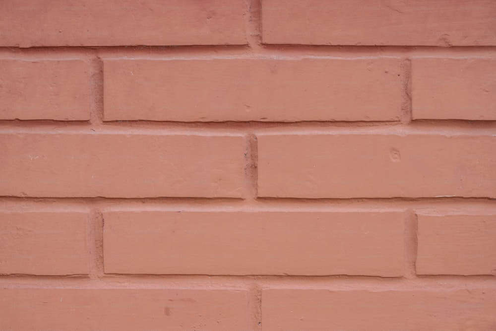uma parede de tijolos vermelhos com um gato branco sentado em cima dela