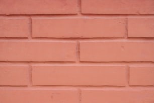 a red brick wall with a white cat sitting on top of it