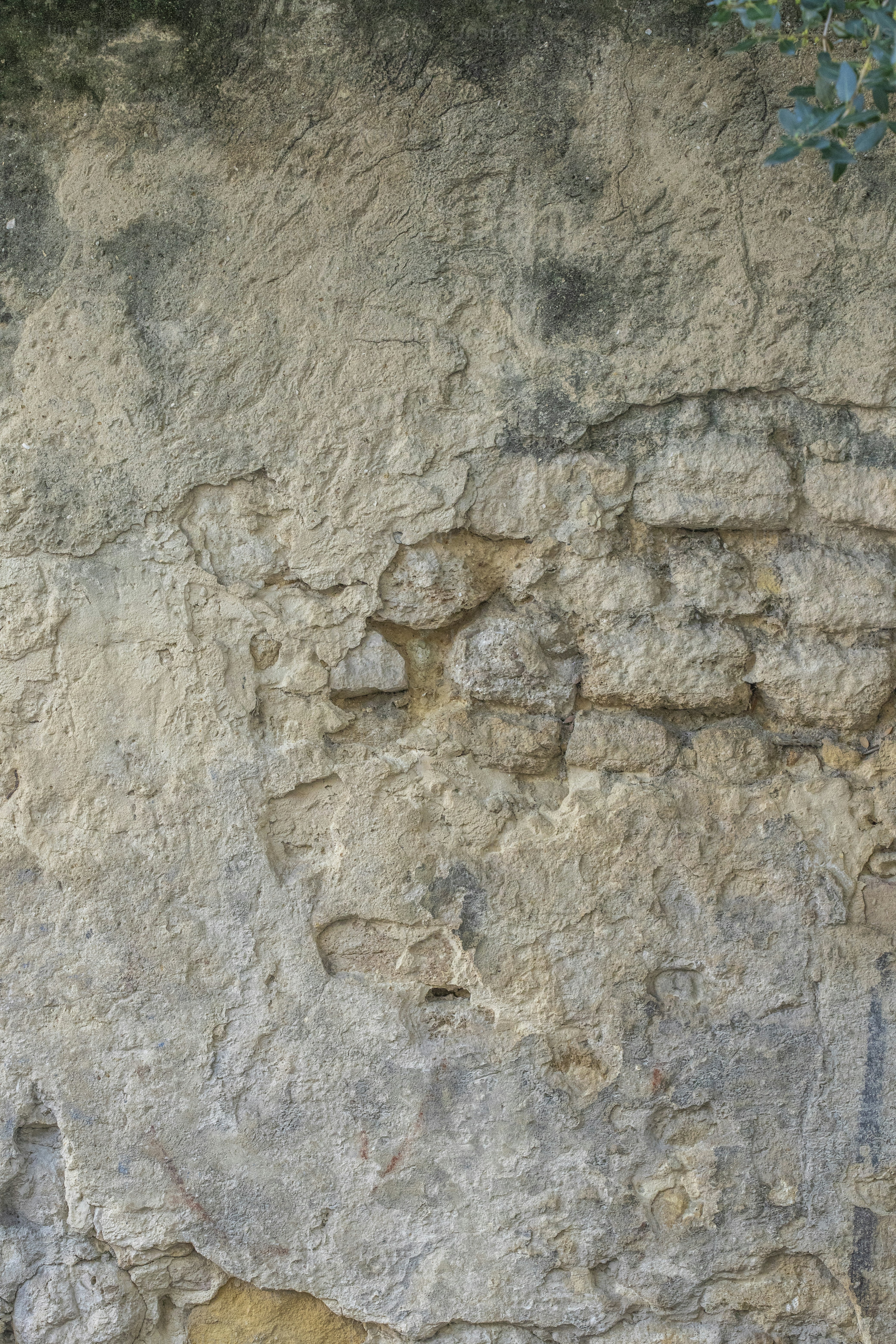 a cat sitting on a ledge next to a stone wall