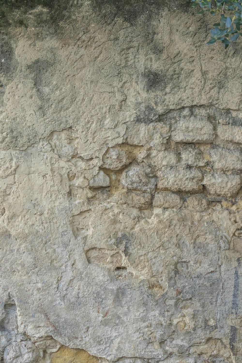 Un gatto seduto su una sporgenza vicino a un muro di pietra