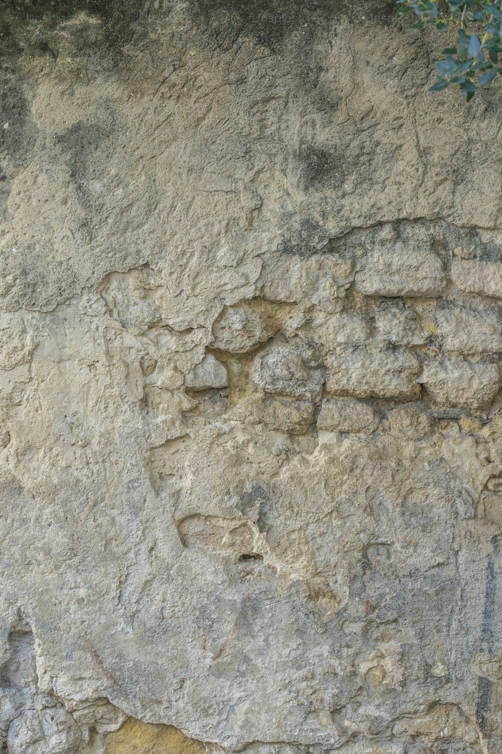 a cat sitting on a ledge next to a stone wall