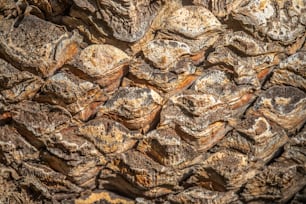 a close up view of a rock formation