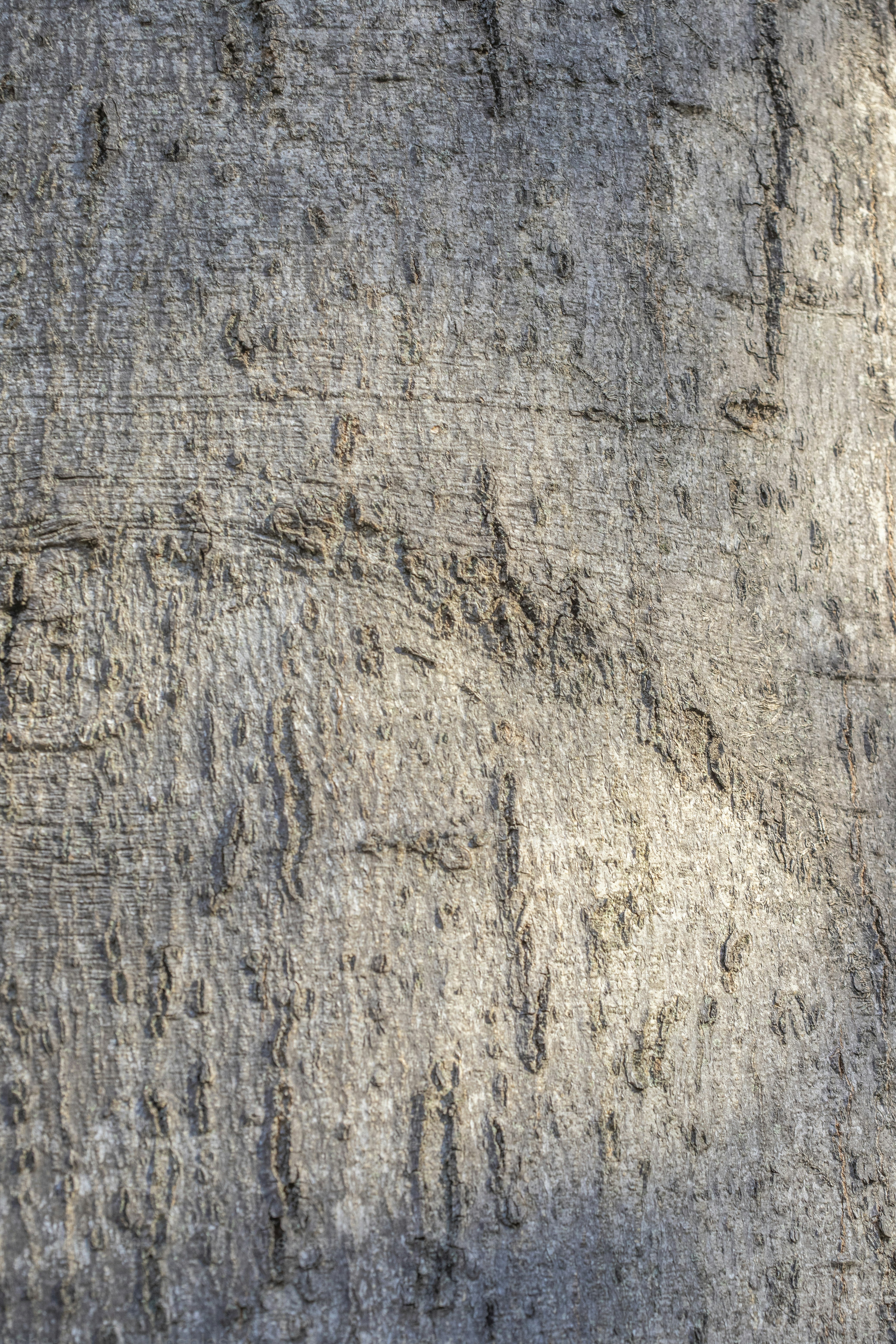 a close up of a piece of wood with writing on it