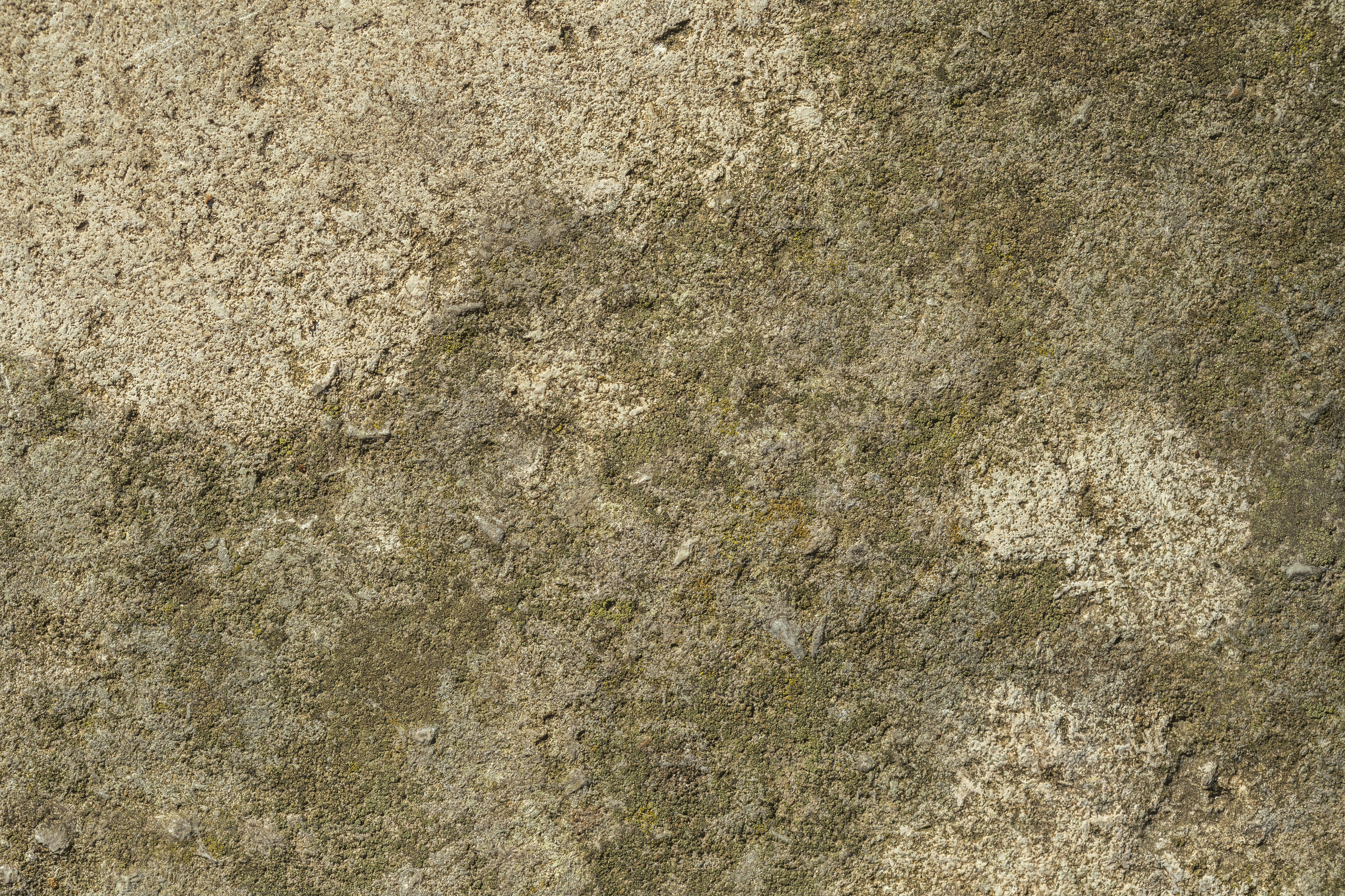 Un primer plano de un muro de piedra con un pájaro en él