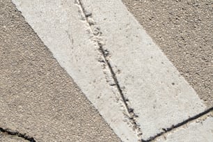 a bird is standing on the sidewalk with its foot prints