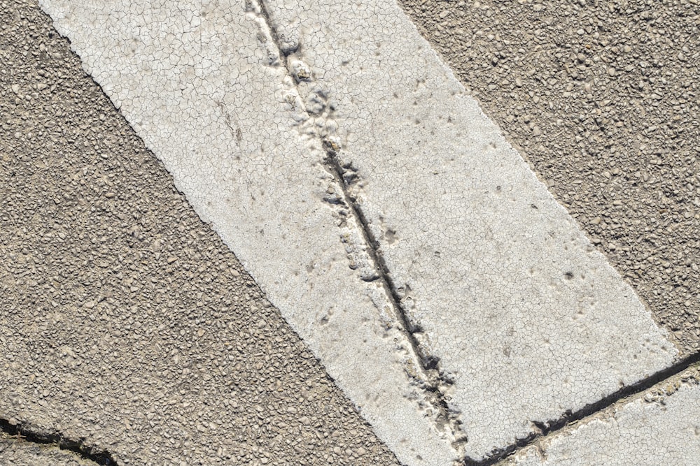 a bird is standing on the sidewalk with its foot prints