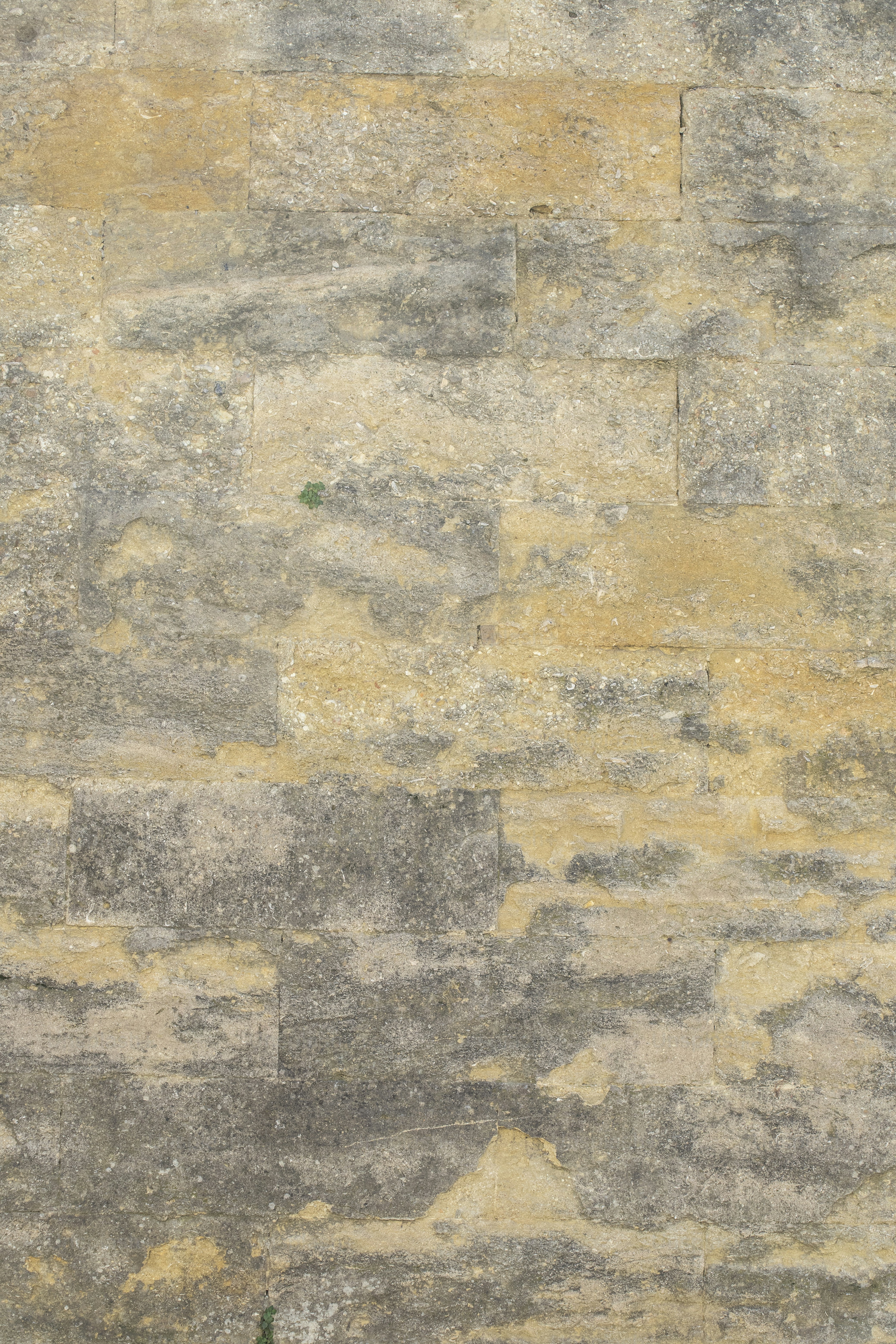 a cat is sitting on a bench in front of a stone wall