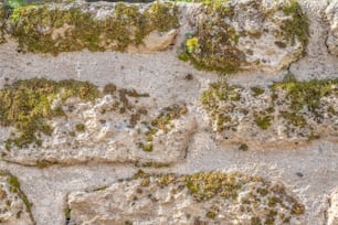 un mur de pierre avec de la mousse qui pousse dessus