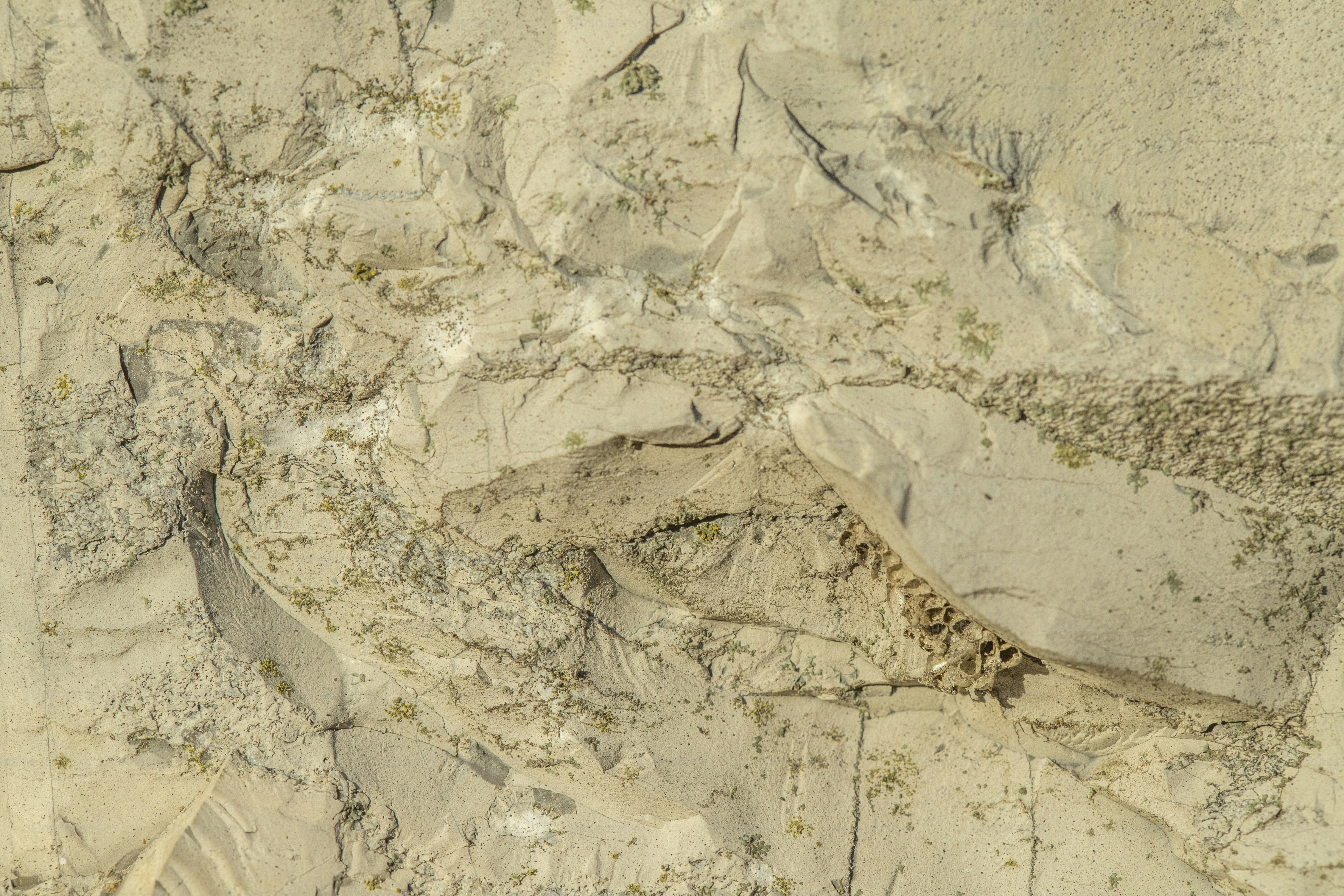a bird is standing in the sand on the beach