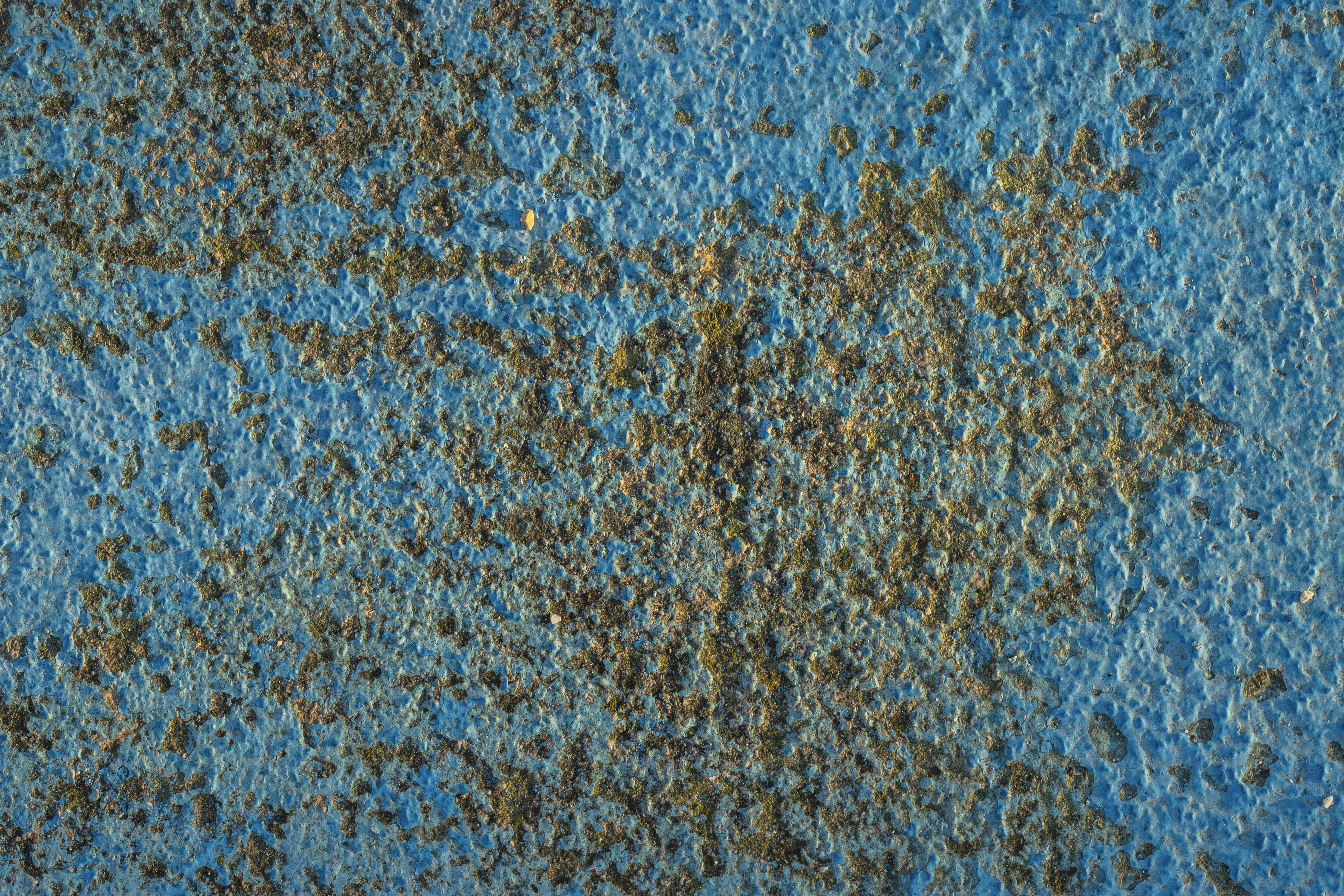 premium_photo-1675876652098-b8b39a2e76a3?ixid=M3wxMjA3fDB8MXxzZWFyY2h8NXx8bW9sZCUyMHJlbWVkaWF0aW9ufGVufDB8fHx8MTc1NTExNDc4N3ww\u0026ixlib=rb-4.1.0