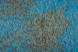 Gros plan d’une surface bleue avec des taches brunes