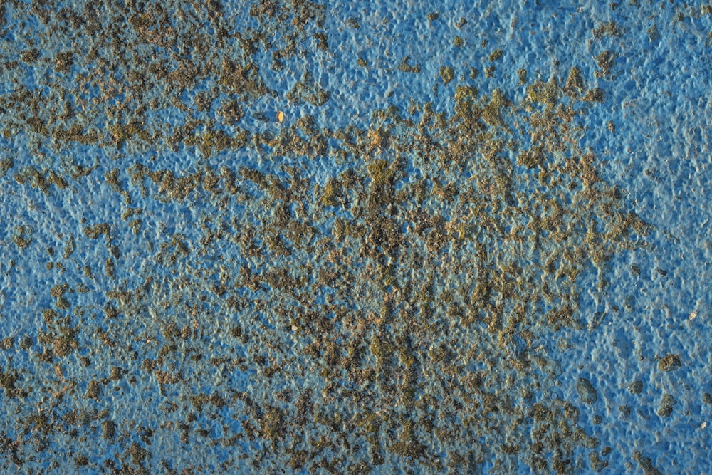 a close up of a blue surface with brown spots