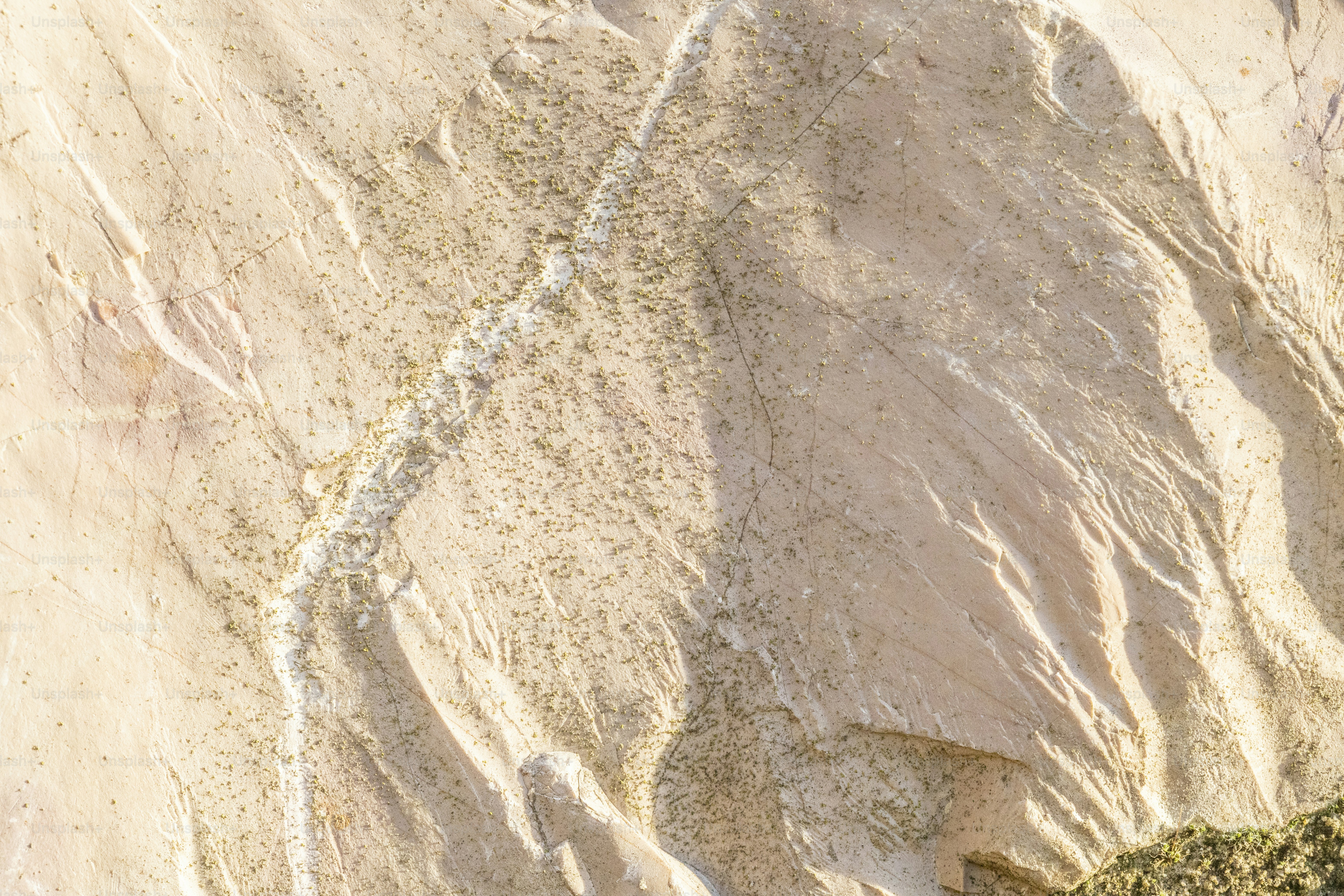 a bird flying over a sandy beach covered in sand