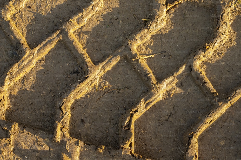 a close up of a brick pattern made of dirt