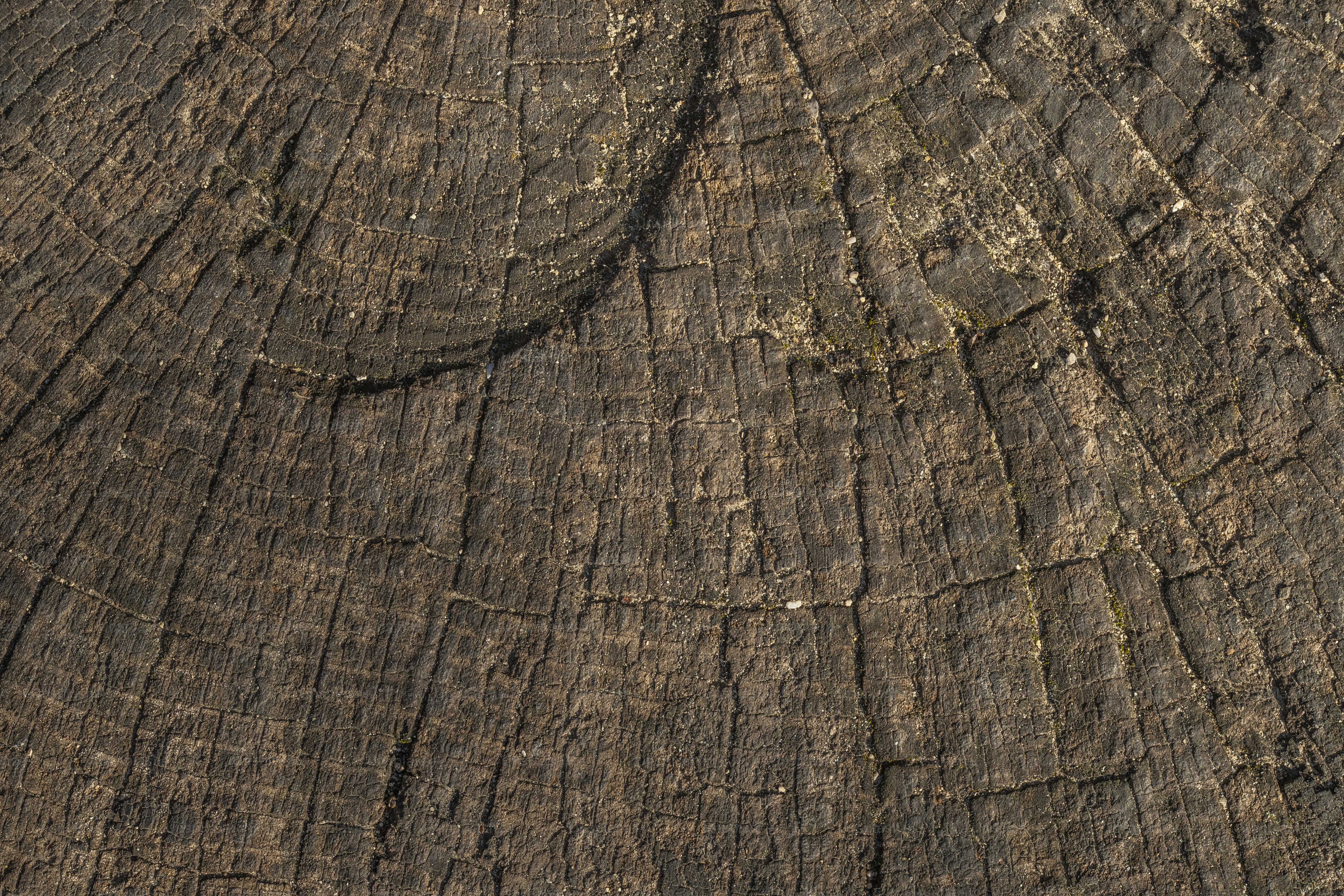 � ������������ ������ �����