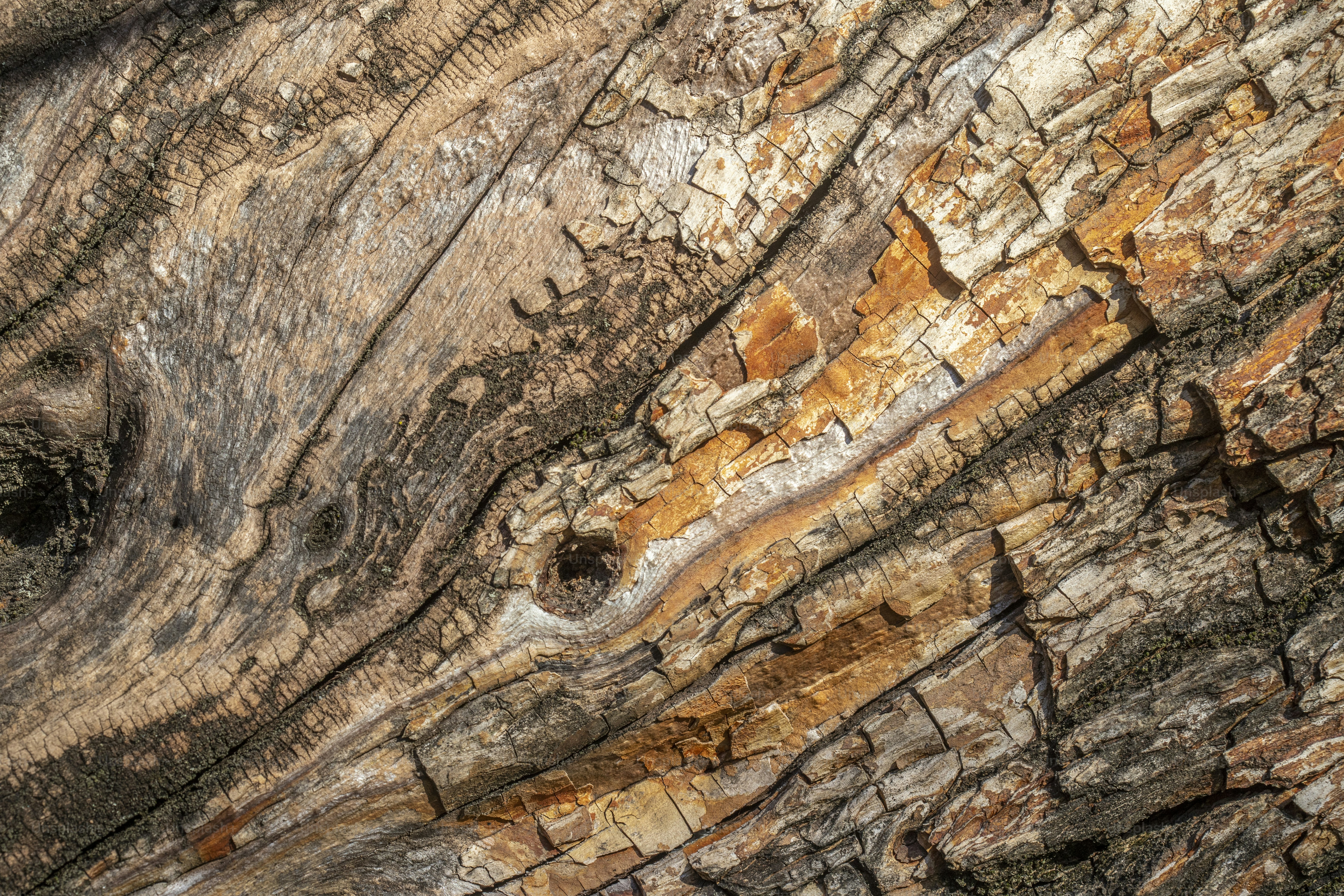 a piece of wood that has been cut in half