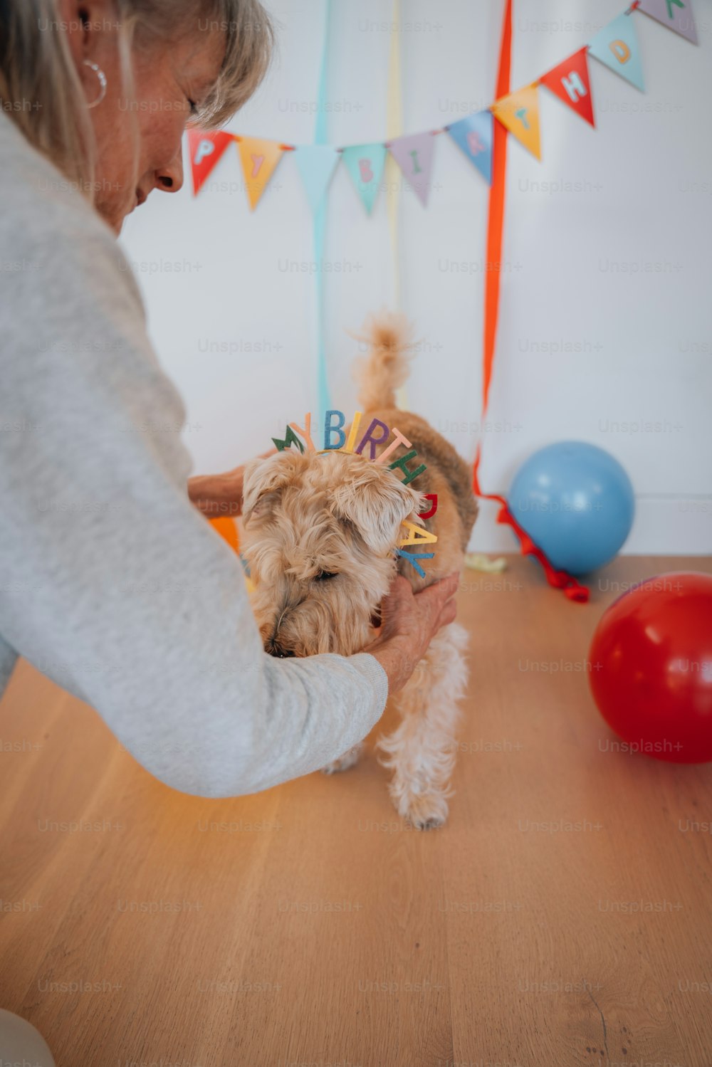 a woman holding a small dog wearing a birthday hat