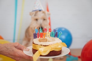 a person holding a birthday cake with candles