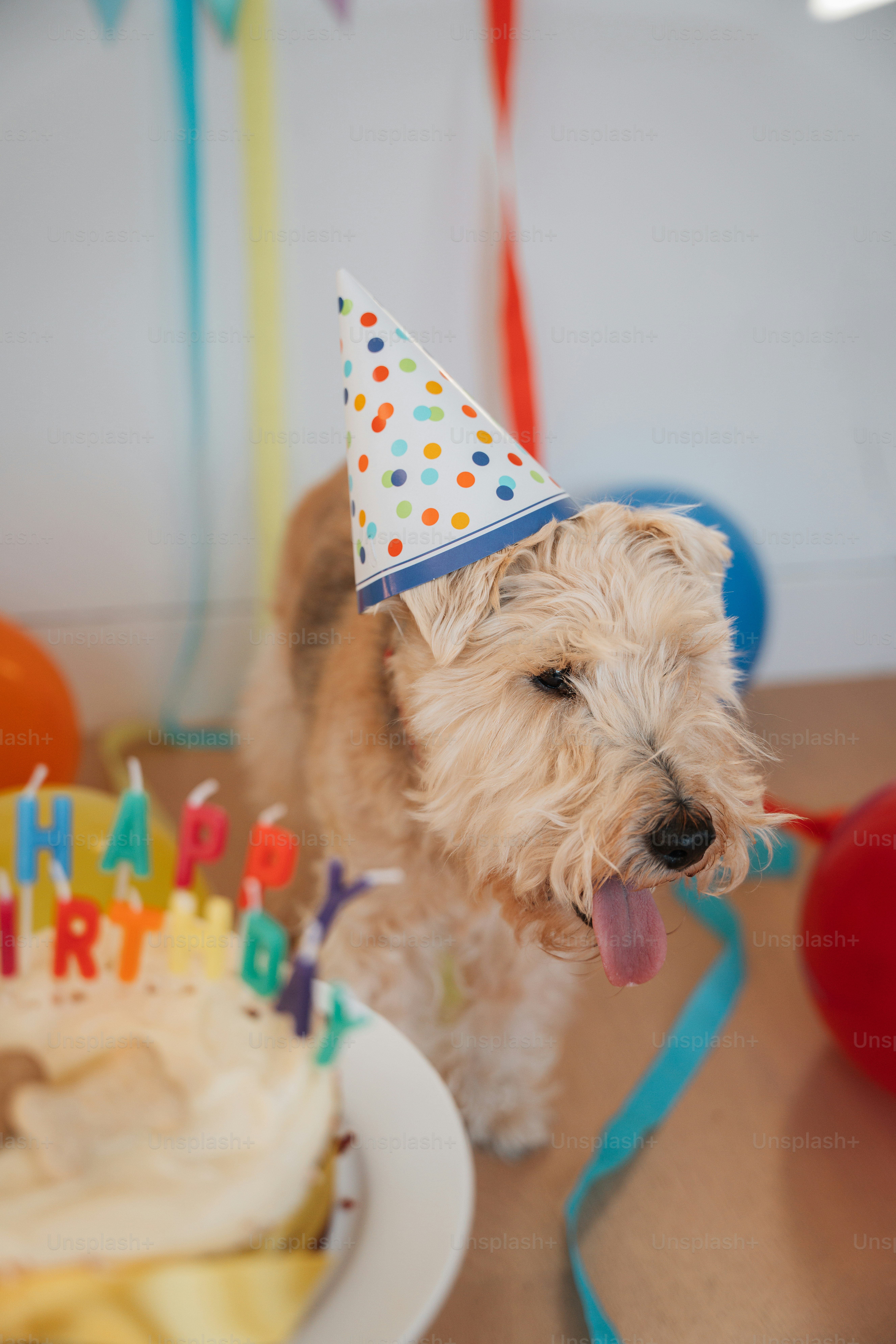 um cão usando um chapéu de aniversário em pé ao lado de um bolo