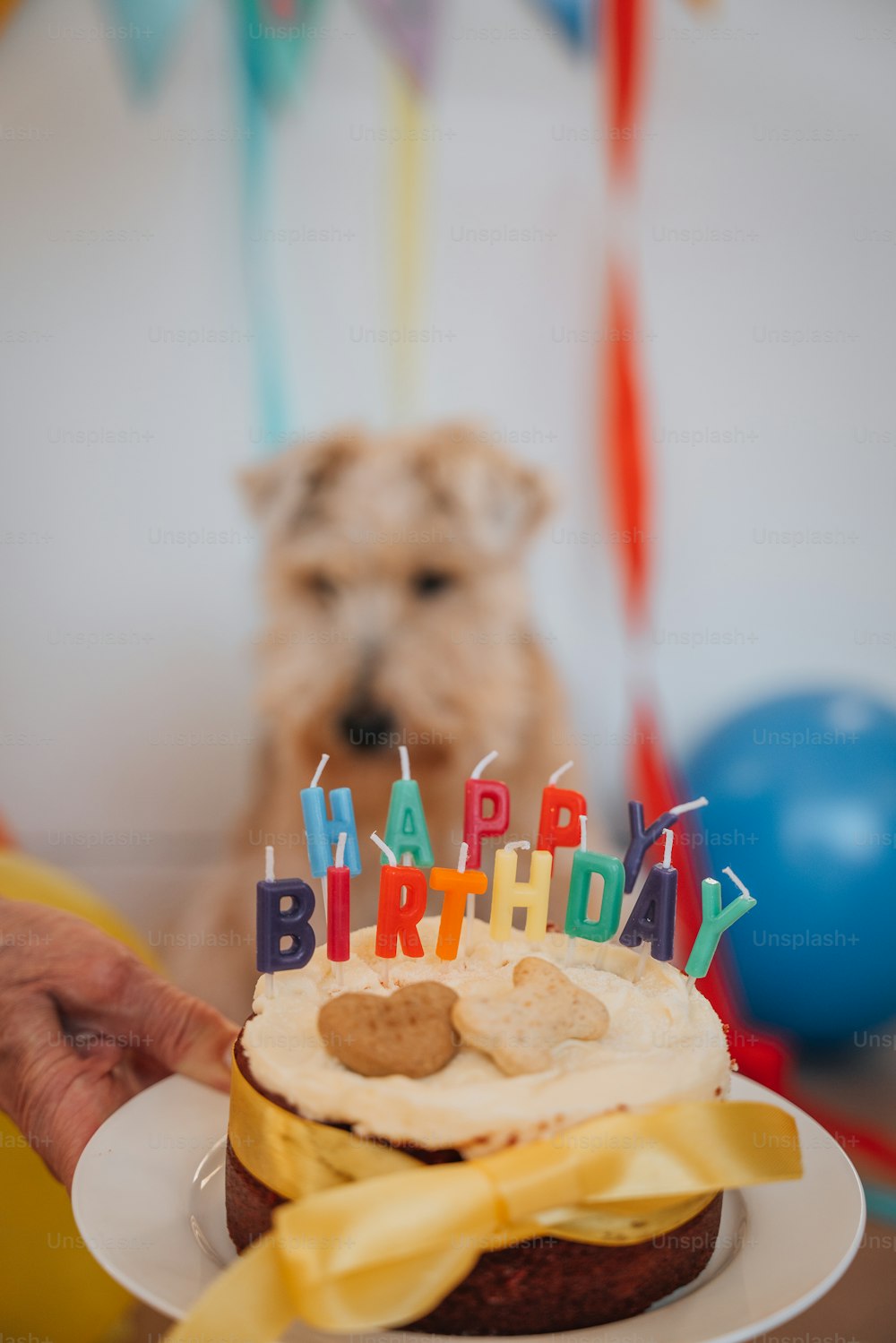a dog is looking at a birthday cake with candles