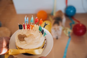a person holding a birthday cake with candles
