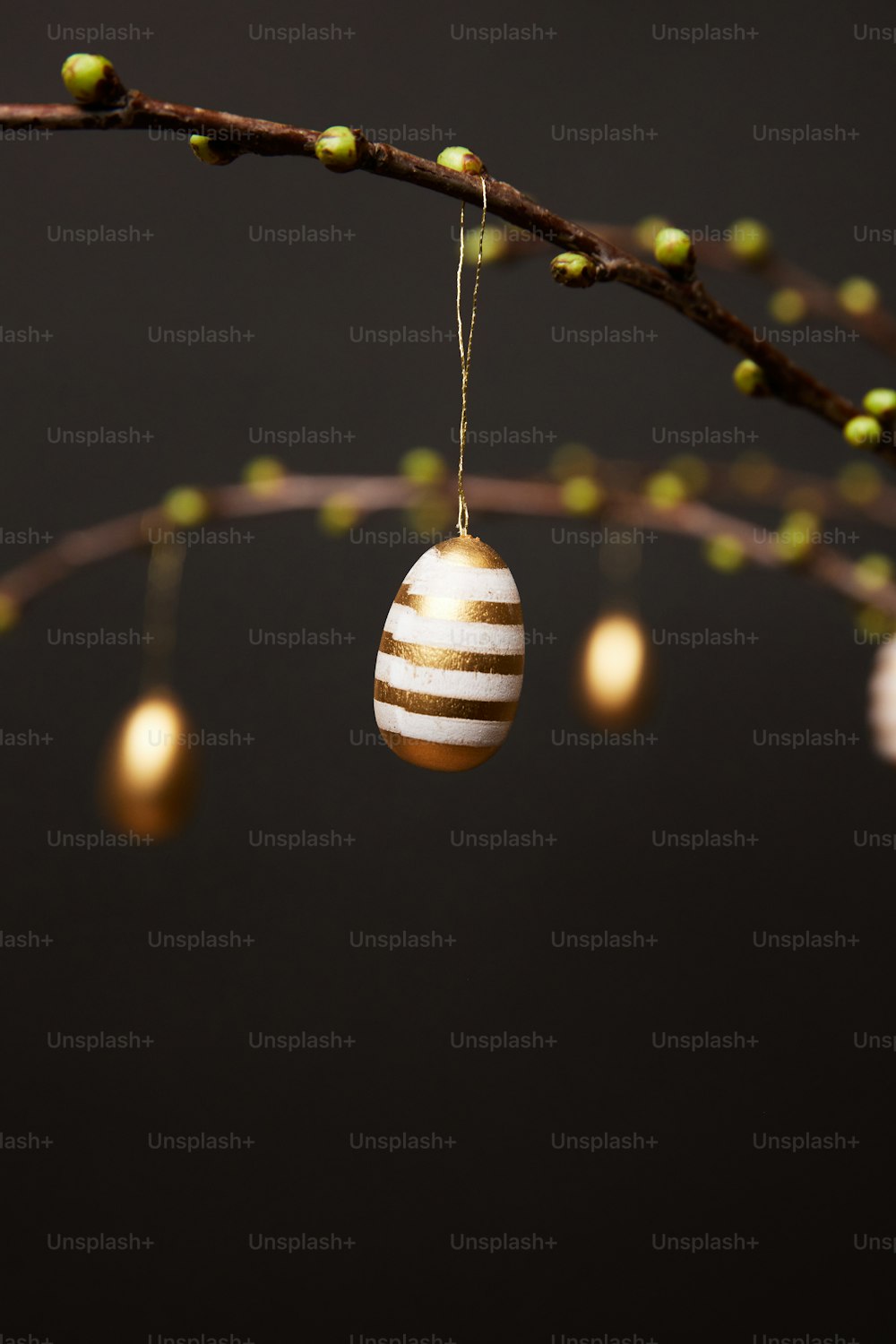 an egg hanging from a twig on a twig branch